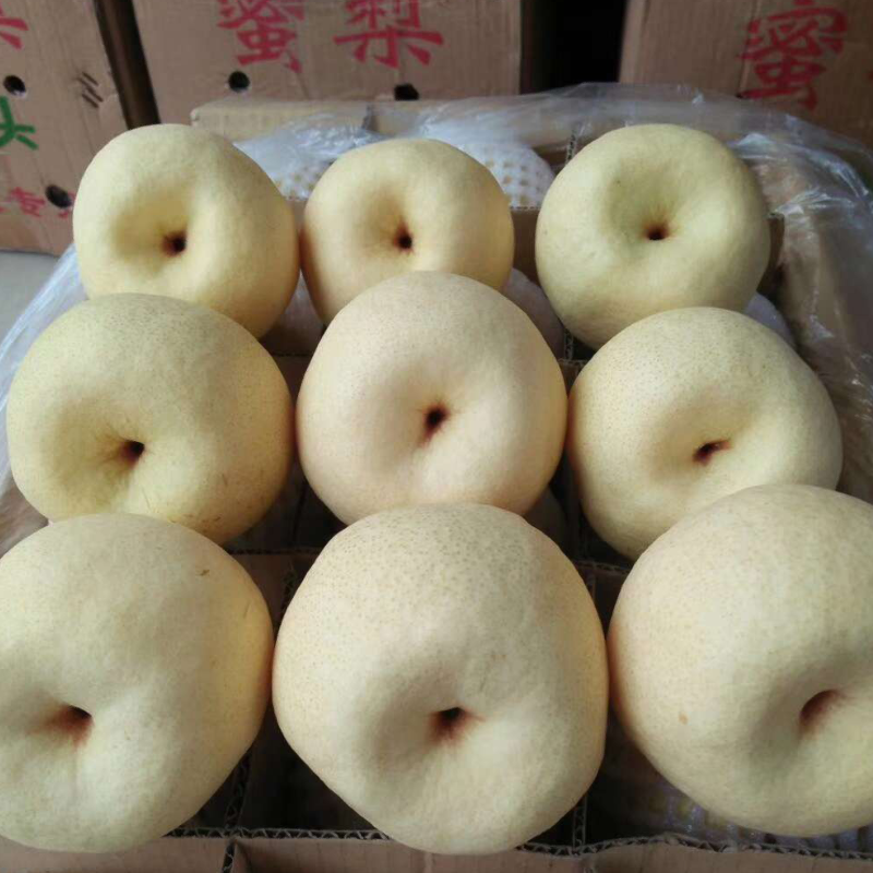 微信图片_20210318165259.png